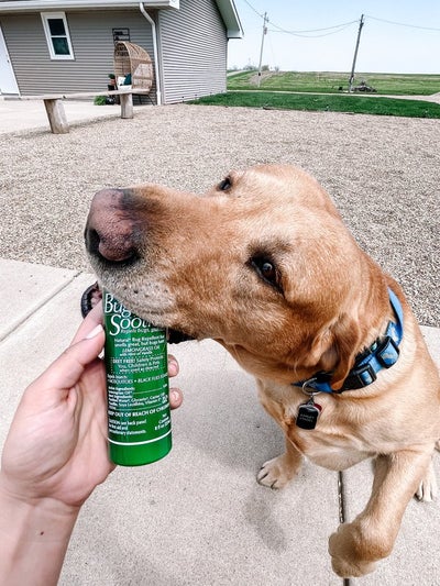 Bug Soother: DEET-Free Bug Repellent
